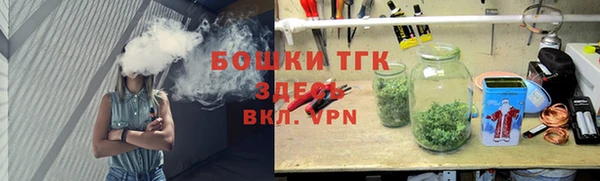 шишки Володарск