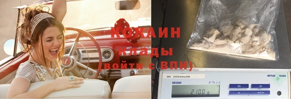 шишки Володарск