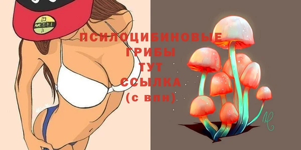 шишки Володарск