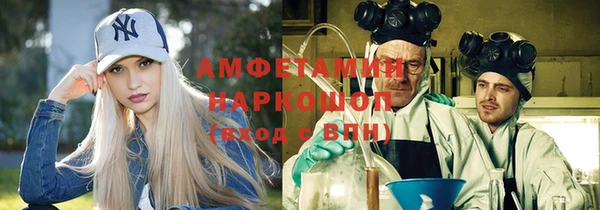 шишки Володарск