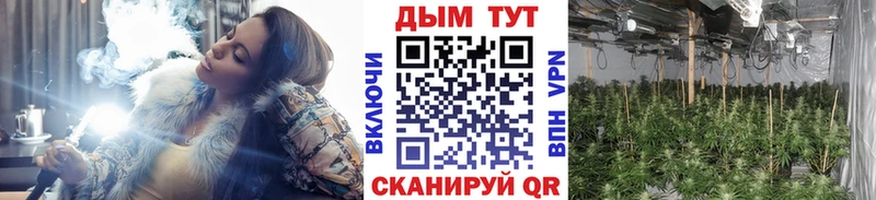 МАРИХУАНА индика  что такое   Людиново 